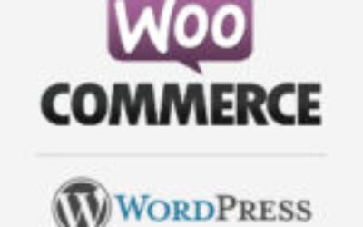 WooCommerce Developer